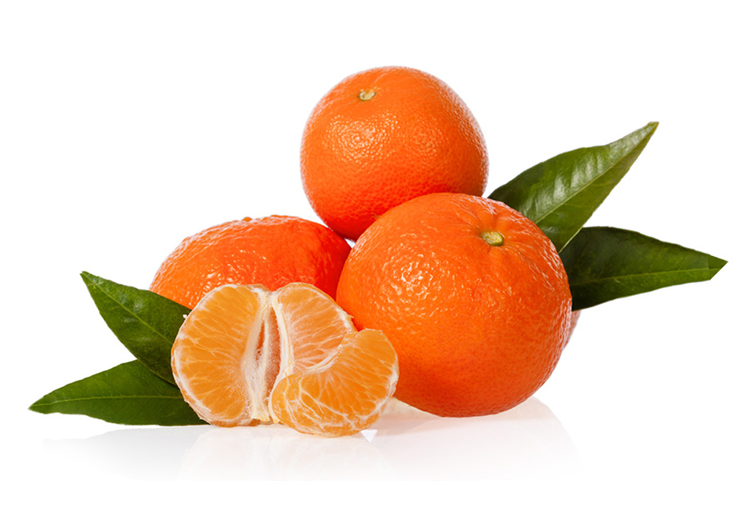 mandalina nova 